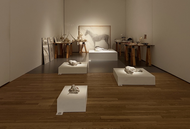 作品写真：ランド・ストランディング / 蘇生するユニコーン